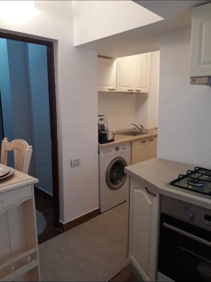 Garsoniera Lux Centru Pietonal Tirgu - Jiu Apartment Targu Jiu Luaran gambar