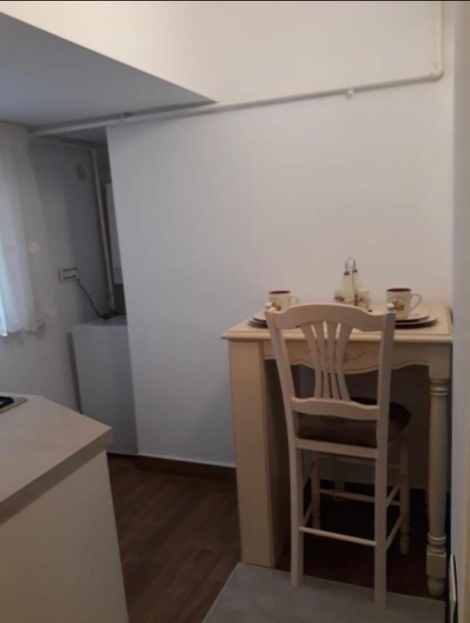 Garsoniera Lux Centru Pietonal Tirgu - Jiu Apartment Targu Jiu Luaran gambar